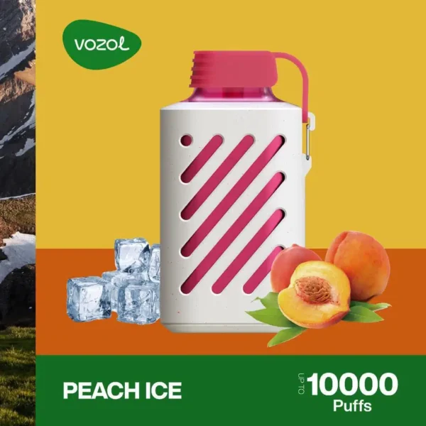 Vozol Gear 10000 Puff - Görsel 13