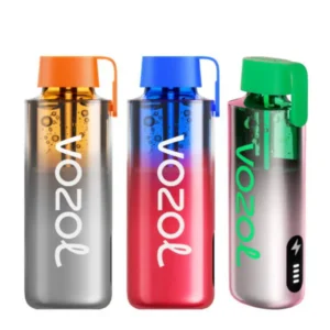 VOZOL Neon 12000 Pro